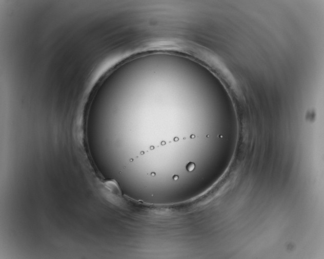 X0000102851328200808181408