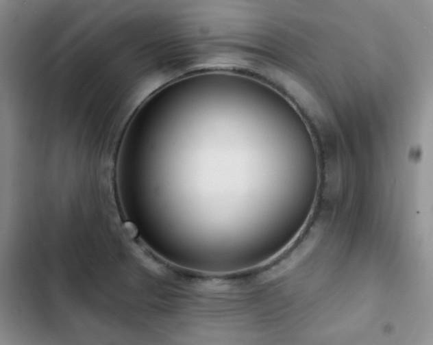 X0000102851329200808181408