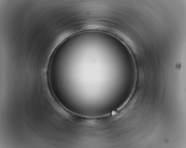 X0000102851330200808181408