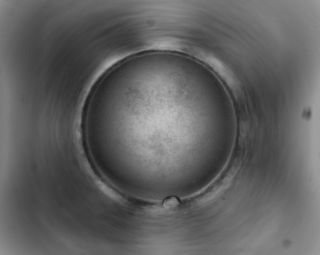 X0000102851331200808181408