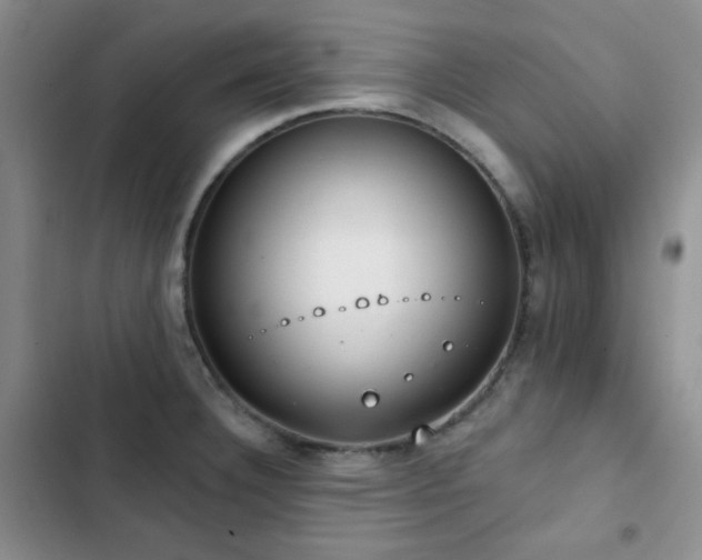 X0000102851332200808181408