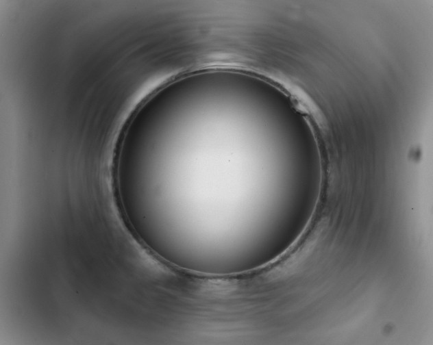 X0000102851333200808181408