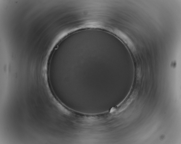X0000102851334200808181408