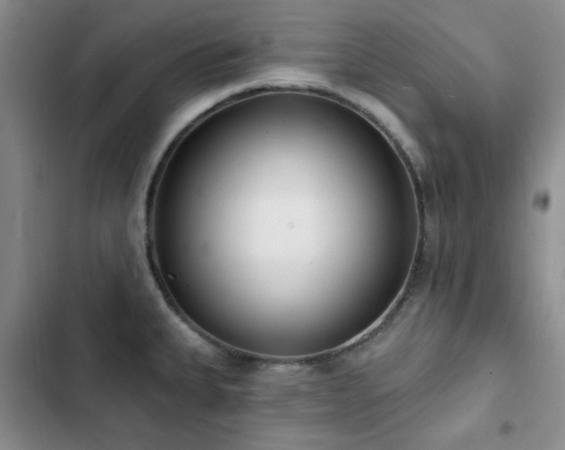X0000102851335200808181408