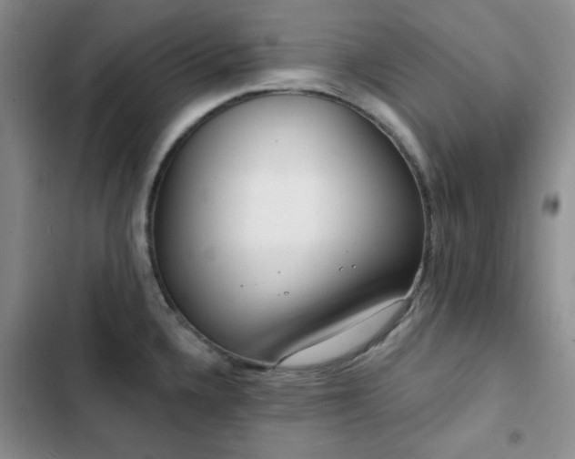 X0000102851336200808181408