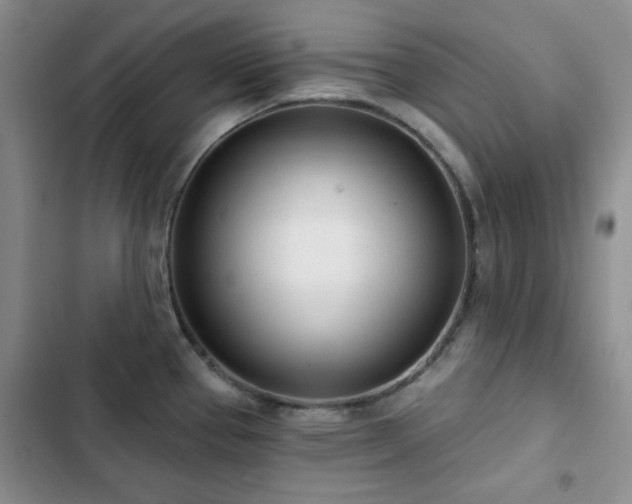X0000102851337200808181408
