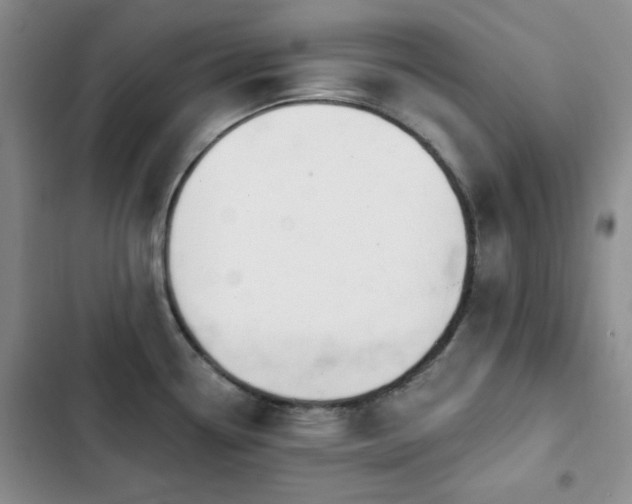 X0000102851338200808181408
