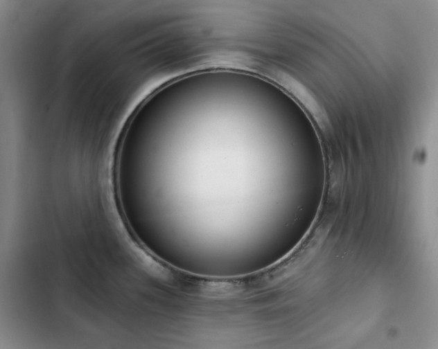 X0000102851339200808181409