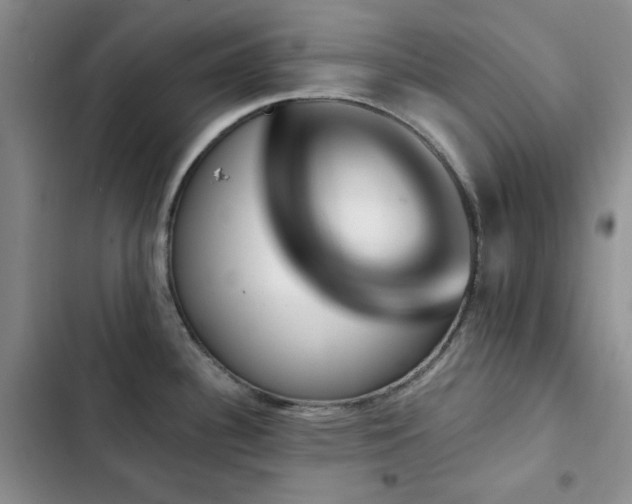 X0000102851340200808181409