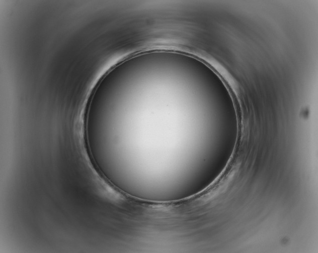 X0000102851341200808181409