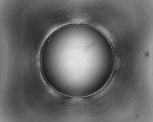 X0000102851342200808181409