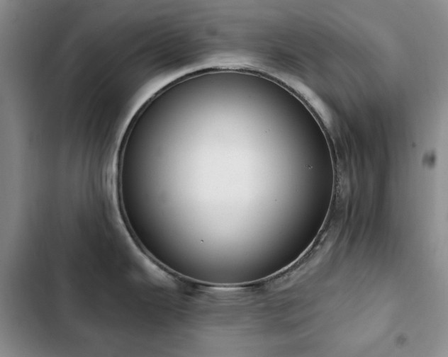 X0000102851343200808181409