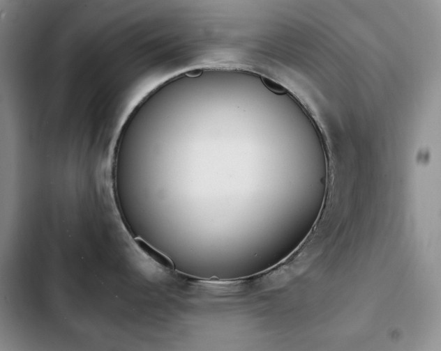 X0000102851344200808181409