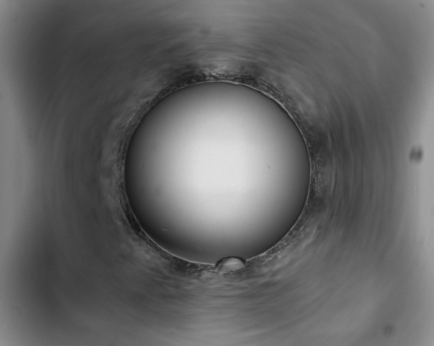 X0000102851345200808181408