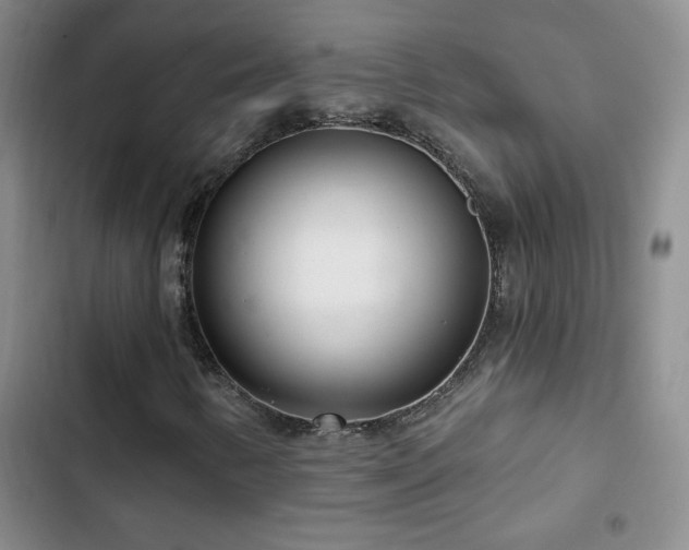 X0000102851346200808181408