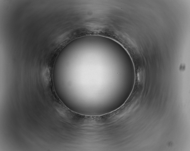 X0000102851347200808181408