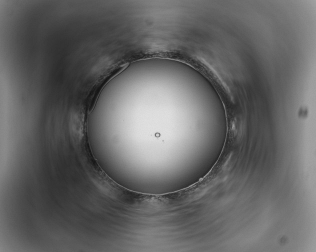 X0000102851348200808181408