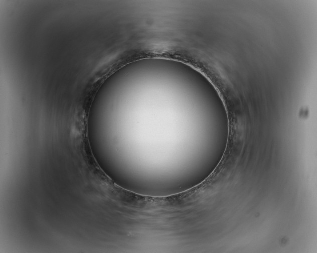 X0000102851349200808181408