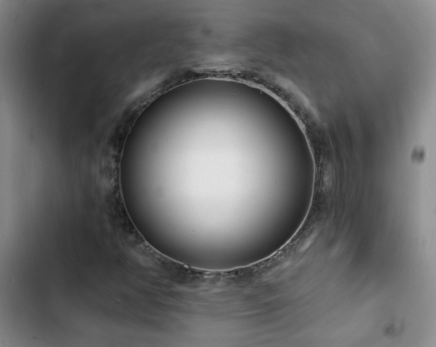 X0000102851350200808181408