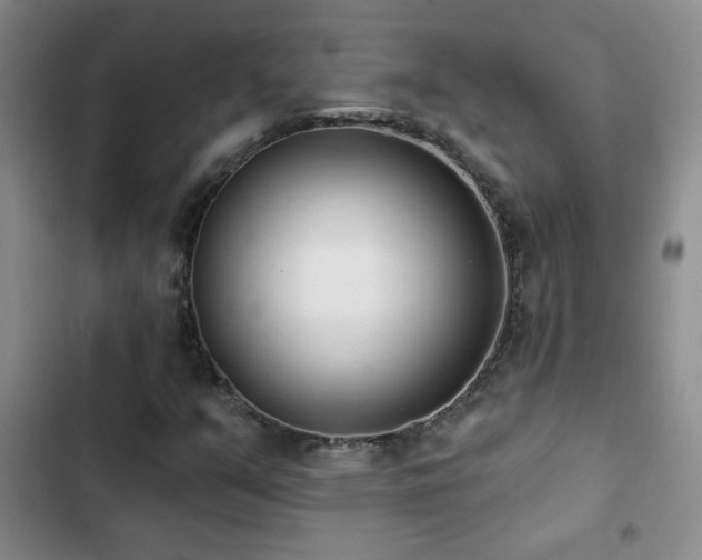 X0000102851351200808181408