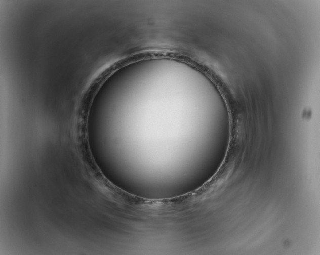 X0000102851352200808181408
