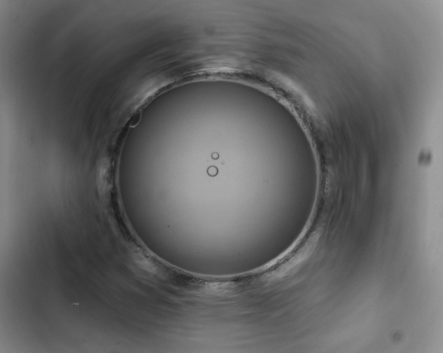 X0000102851353200808181408