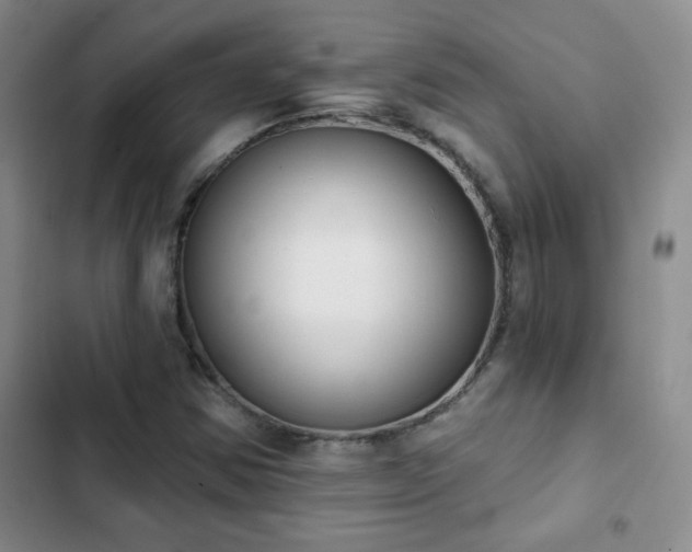 X0000102851354200808181408