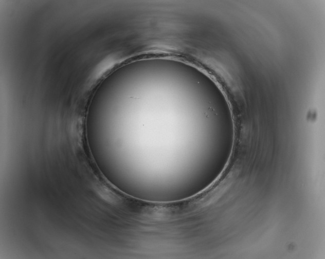 X0000102851355200808181408