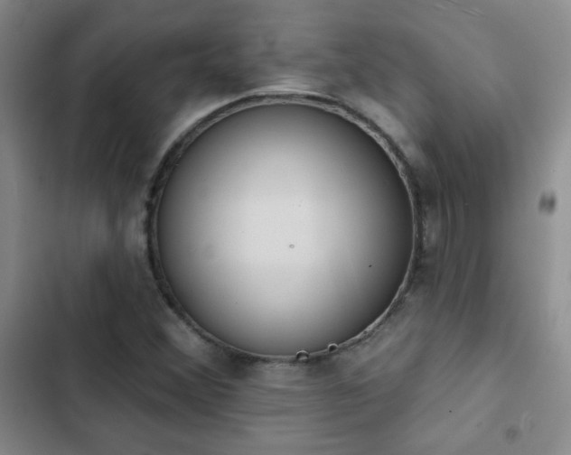 X0000102851356200808181408