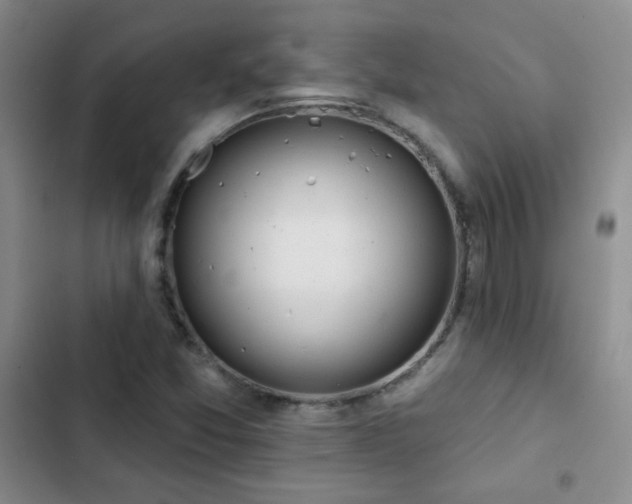 X0000102851357200808181408