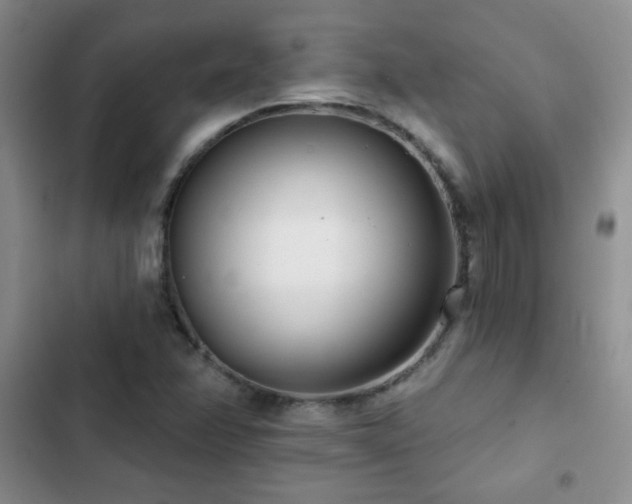 X0000102851358200808181408