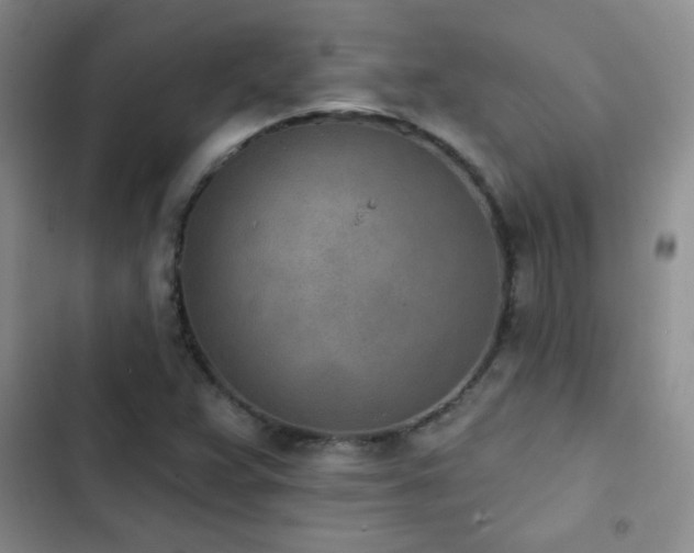 X0000102851359200808181408