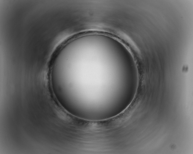 X0000102851360200808181408