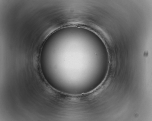 X0000102851361200808181408