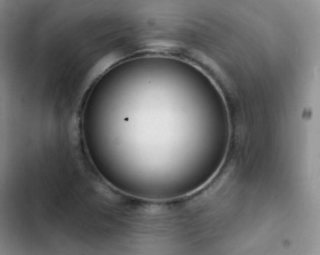 X0000102851362200808181408