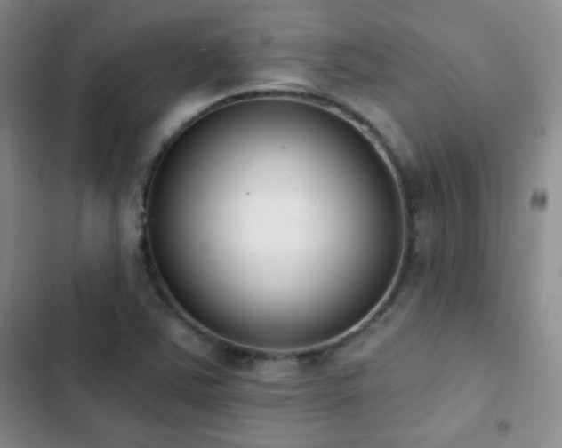 X0000102851363200808181407
