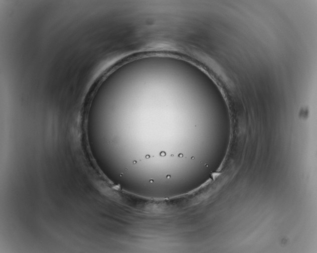 X0000102851364200808181407