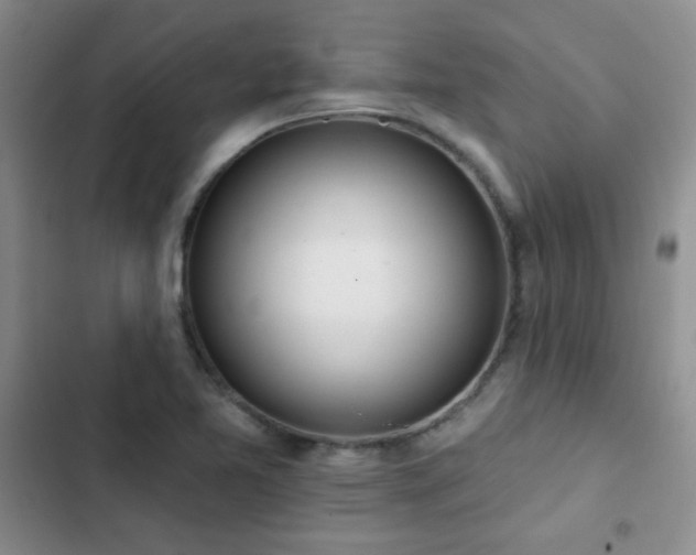 X0000102851365200808181407