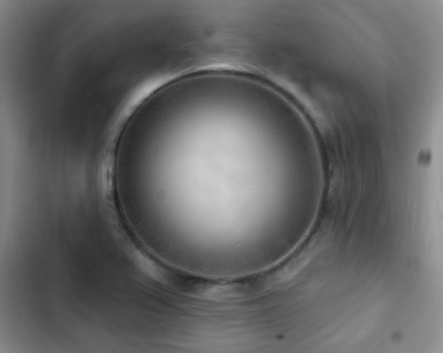 X0000102851367200808181407