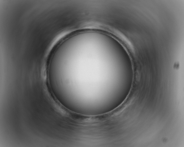 X0000102851368200808181407