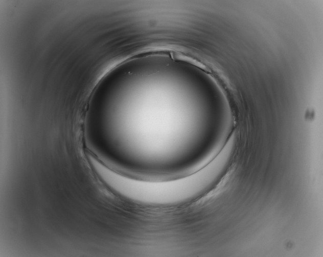 X0000102851369200808181407