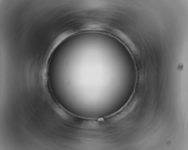 X0000102851370200808181407
