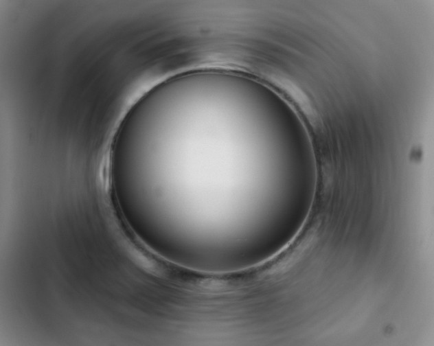 X0000102851371200808181407