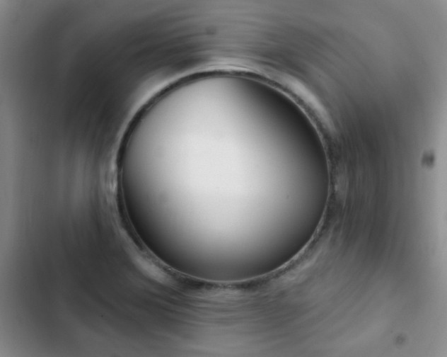 X0000102851372200808181407