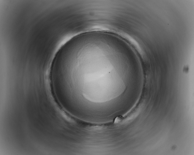 X0000102851373200808181407