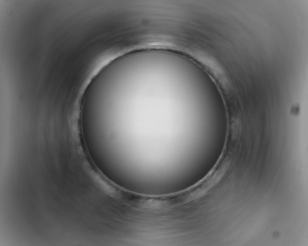 X0000102851374200808181407