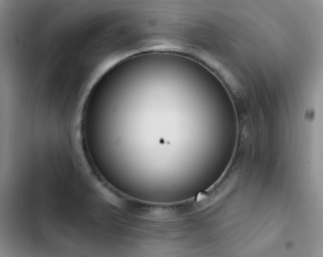 X0000102851375200808181407