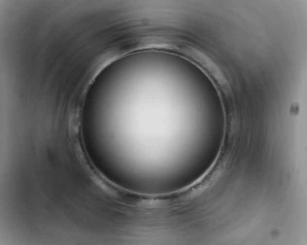 X0000102851377200808181407