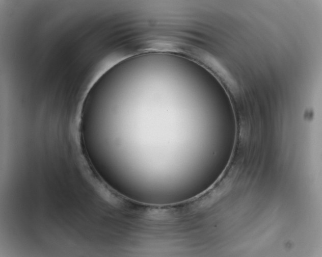 X0000102851378200808181407