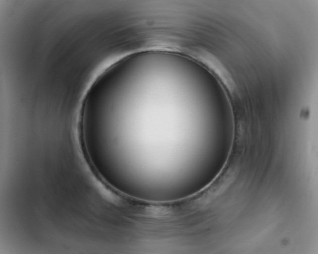 X0000102851379200808181407